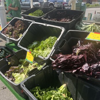 Fishers Farmers Market - Farmers Market Near Me - Fishers, Indiana