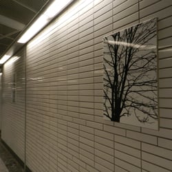 Métro François-Verdier