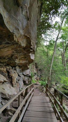 Audra State Park by null