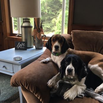 Champion K9 Services - Nellie and Annie - Pet Training Near Me - Phillipston, Massachusetts Champion K9 Services - Nellie and Annie - Pet Training Near Me - Phillipston, Massachusetts