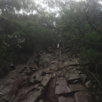 Mount Warning - Wollumbin National Park - Parks Near Me - Mount Warning, NSW