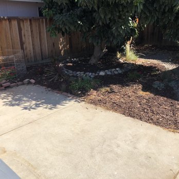 Purchase Green Artificial Grass - Before.... - Artificial Turf Near Me - San Jose, California Purchase Green Artificial Grass - Before.... - Artificial Turf Near Me - San Jose, California