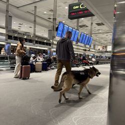 Alaska Airlines