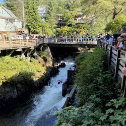Married Man's Trail - Salmon Ladder