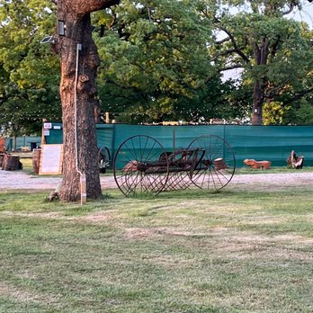 Oak Trees Beer Garden - A family-friendly destination where local brews and community come together. - Beer Gardens Near Me - Aubrey, Texas Oak Trees Beer Garden - A family-friendly destination where local brews and community come together. - Beer Gardens Near Me - Aubrey, Texas