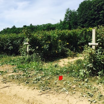 Fairwinds Farm - Raspberries - Pick Your Own Farms Near Me - Bowdoinham, Maine