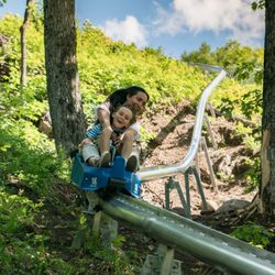 Camp Fortune - Mountain Coaster