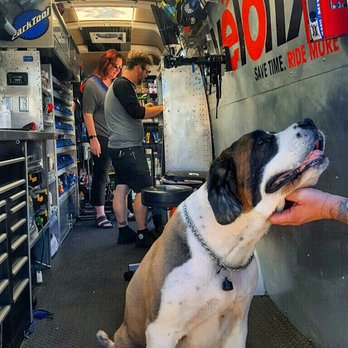 velofix - We love our customers and their furry four-legged friends! - Bike Repair/Maintenance Near Me