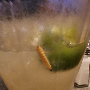 Murrietas - Mezcal Worm! - Mexican Near Me - Sparks, Nevada