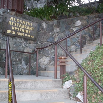 Nepenthe - Nepenthe - New American Near Me - Big Sur, California