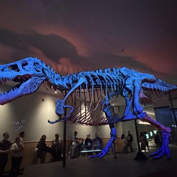 Field Museum - Museums Near Me - Chicago, Illinois Field Museum - Museums Near Me - Chicago, Illinois
