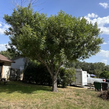 Haystack landscaping - Before - Landscaping Near Me