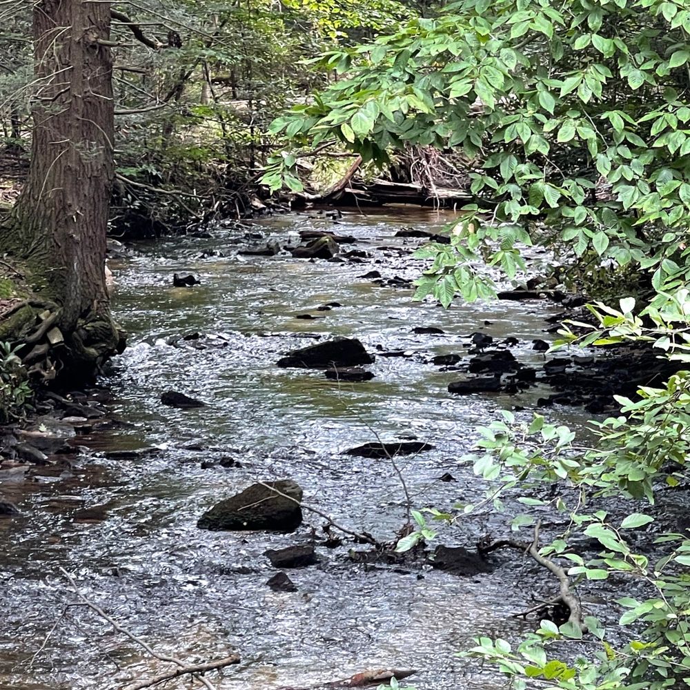 BEST of Hesston, PA Lakes - Yelp