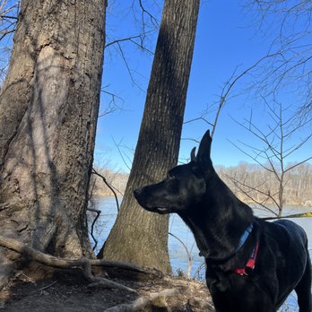 Scott's Run Nature Preserve - Parks Near Me - McLean, Virginia