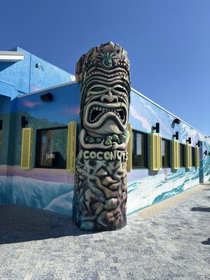 Coconuts on the Beach by null