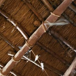 Wikinger Museum Haithabu - Birds in the huts.