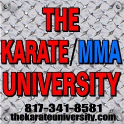 The Karate University