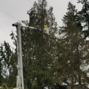All Phase Tree Service - Tree Services Near Me - Longview, Washington