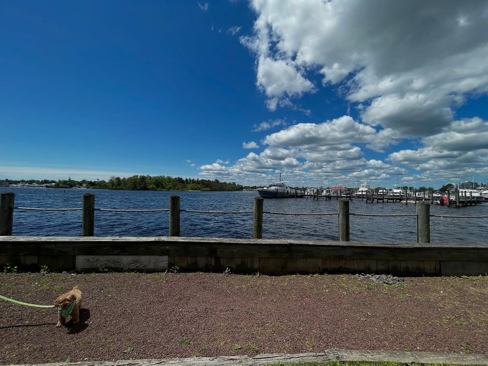 Riverfront Landing County Park Image