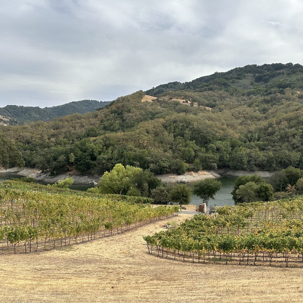 Alamitos Vineyards - Wine Tasting Room Near Me - San Jose, California