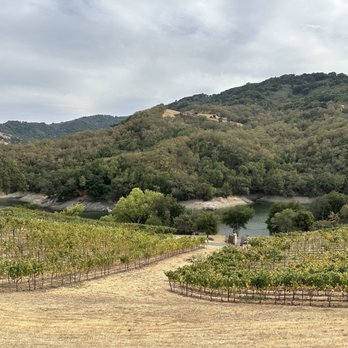 Alamitos Vineyards - Wine Tasting Room Near Me - San Jose, California