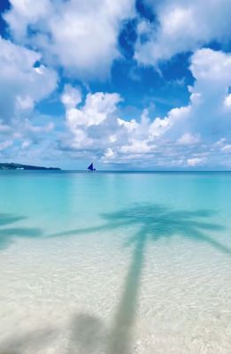 White Beach by null