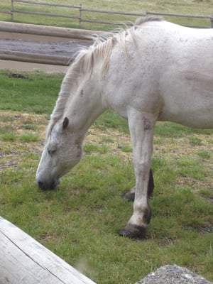 río serrano hotel + spa by null