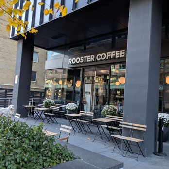Rooster Coffee House - Coffee & Tea Near Me - Toronto, Ontario Rooster Coffee House - Coffee & Tea Near Me - Toronto, Ontario