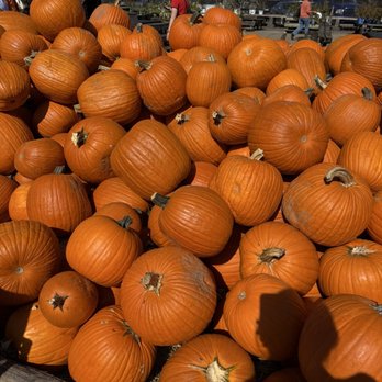Trax Farms - Pumpkins - Fruits & Veggies Near Me - Finleyville, Pennsylvania