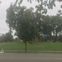 Photo of Meadowood Park
