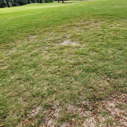 Spruce Creek Country Club