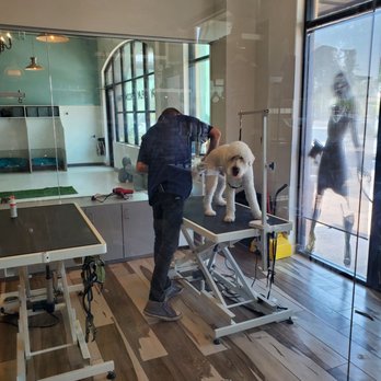 Furbabies Resort and Spa - Pet Groomers Near Me - Scottsdale, Arizona