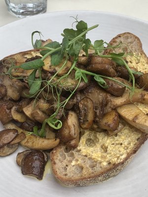 Common Ground by null