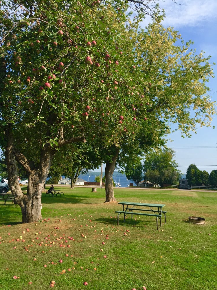 MALLETTS BAY CAMPGROUND Updated September 2024 10 Photos & 10