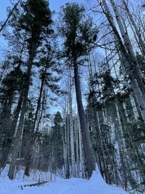 Hyde Memorial State Park by null