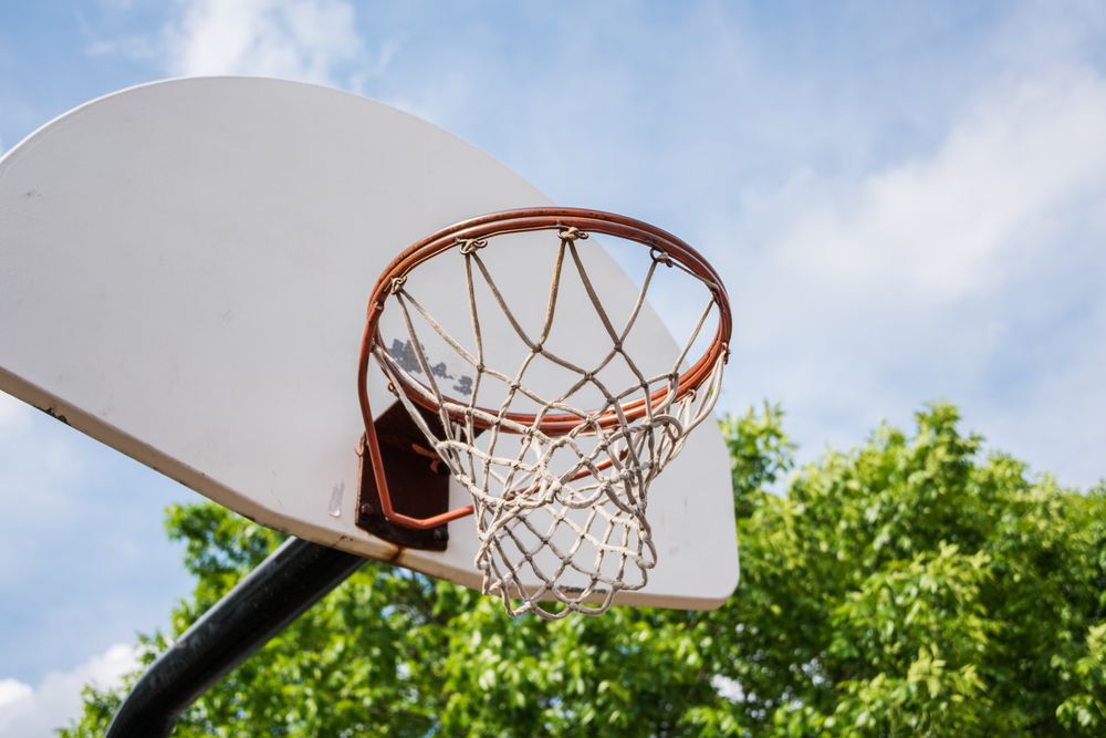 Olympic Park 1675 Old Schaumburg Rd Schaumburg IL 60173 Overview