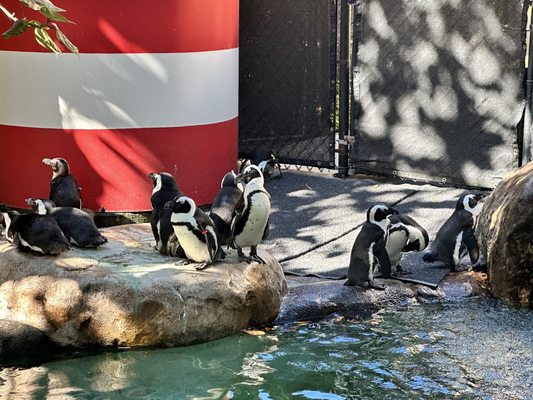 ZooTampa at Lowry Park by null