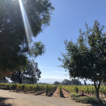 Artisan Excursion Wine Tours - Transportation Near Me