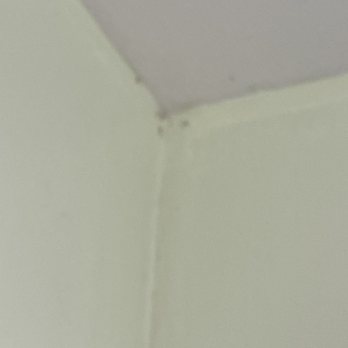 Klamath Motor Lodge - This would be mold in the bathroom - Hotels Near Me - Yreka, California Klamath Motor Lodge - This would be mold in the bathroom - Hotels Near Me - Yreka, California