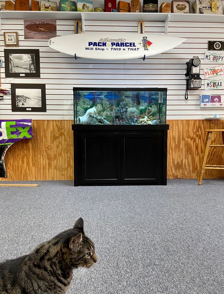 ATLANTIC PACK & PARCEL Updated October 2024 28 Photos & 20 Reviews