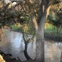 Photo of Shady Oaks Park & Playground