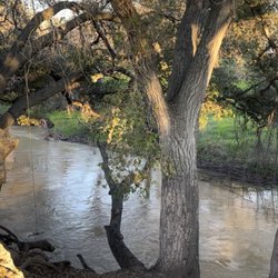 Shady Oaks Park & Playground