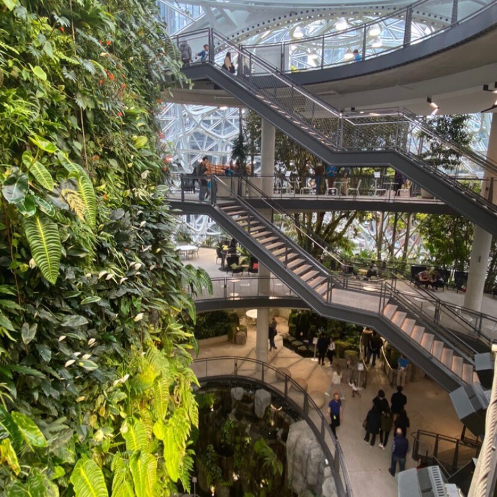 Amazon Spheres - Botanical Gardens Near Me - Seattle, Washington Amazon Spheres - Botanical Gardens Near Me - Seattle, Washington