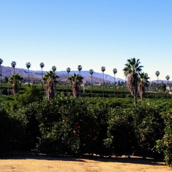 Citrus Weddings and Events - View from trail at Citrus Park - Venues & Event Spaces Near Me - Riverside, California Citrus Weddings and Events - View from trail at Citrus Park - Venues & Event Spaces Near Me - Riverside, California