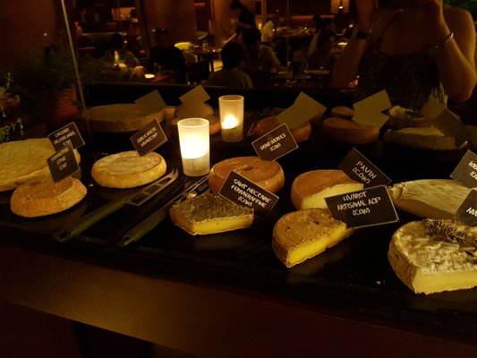 Opus Bar and Grill by null