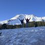 Photo of Bunny Flat Trail