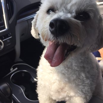 Petco - Pet Groomers Near Me - Annapolis, Maryland