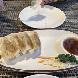 Gyoza Gyoza
