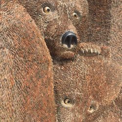Ursa Mater - Cubs
