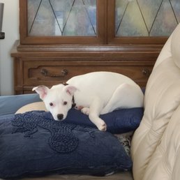 Snooki  after her first wellness visit! AAAR was Great